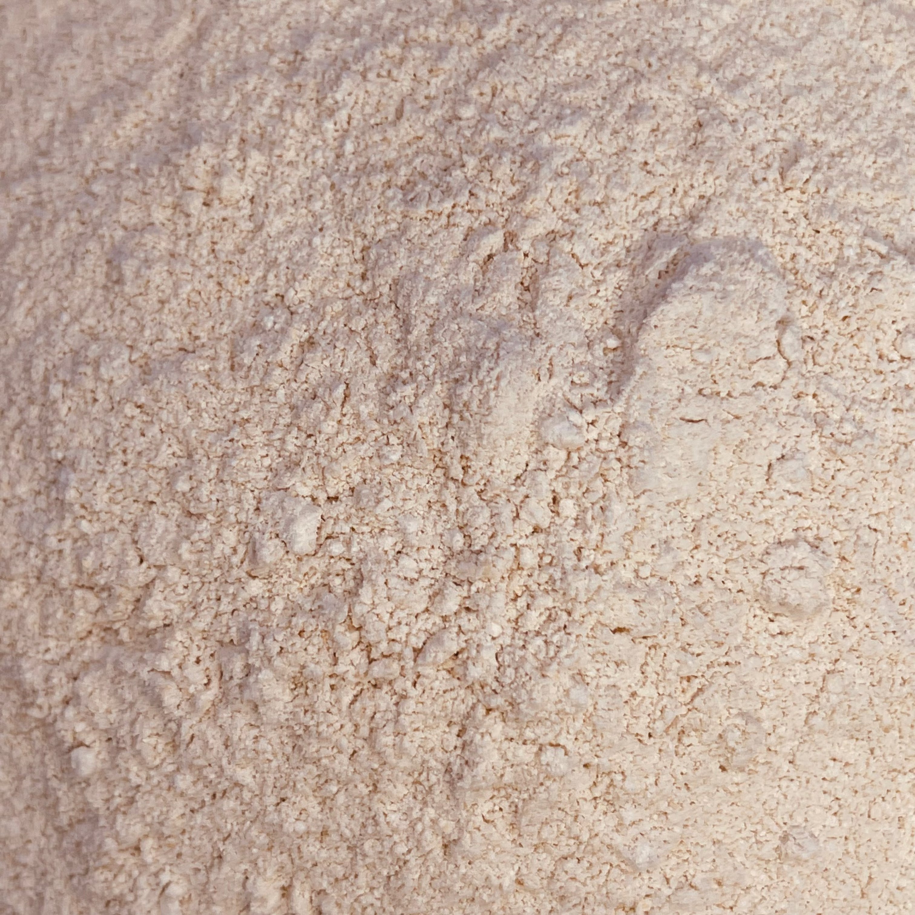 Gold Seamoss Powder (BULK)