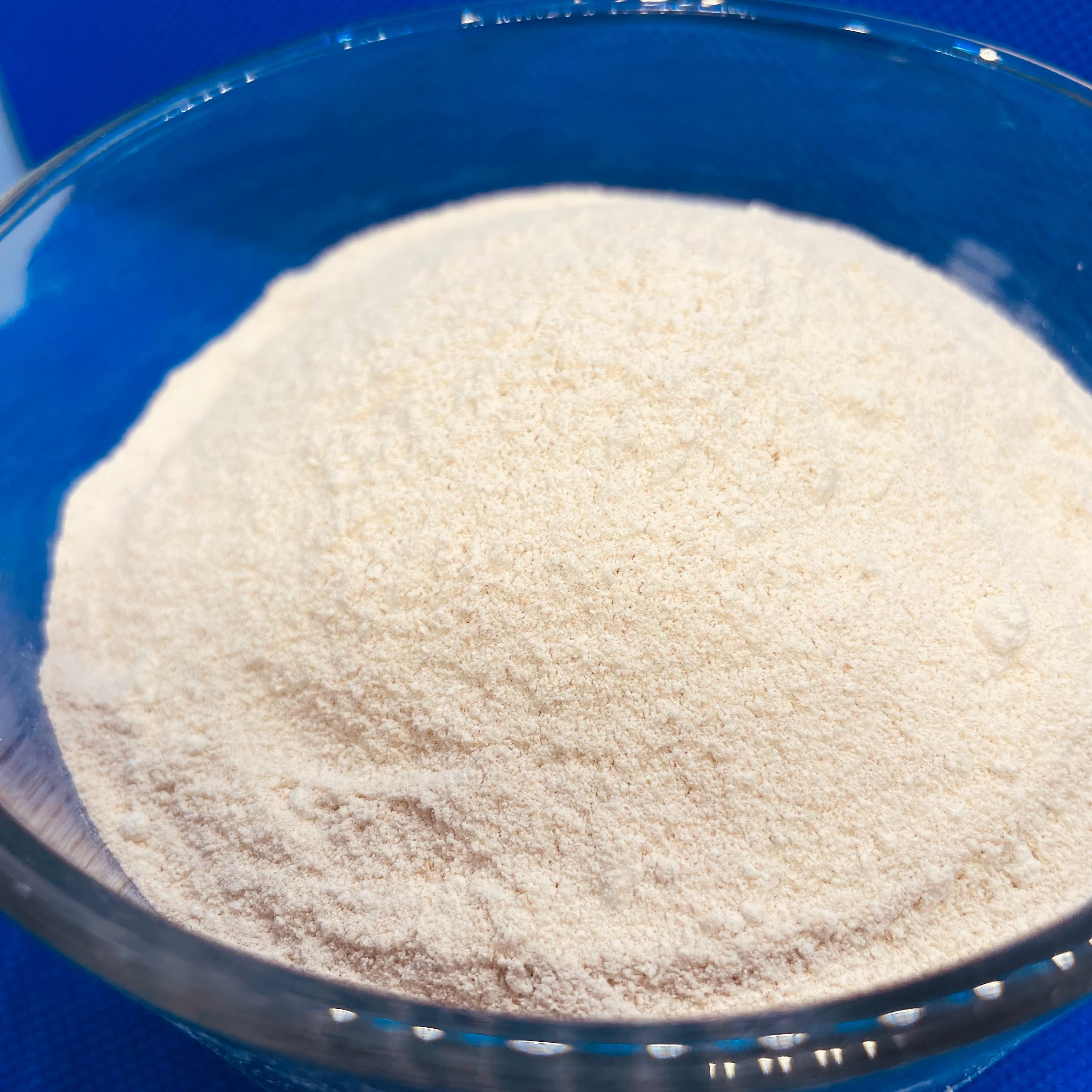 Gold Seamoss Powder (BULK)