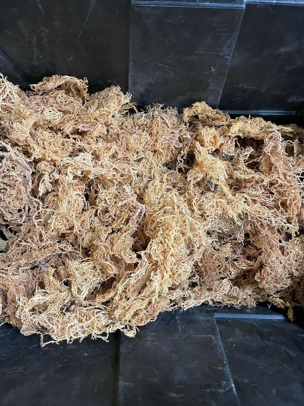 Wholesale Purple Sea Moss – 10 lb Bulk Case (B Grade)