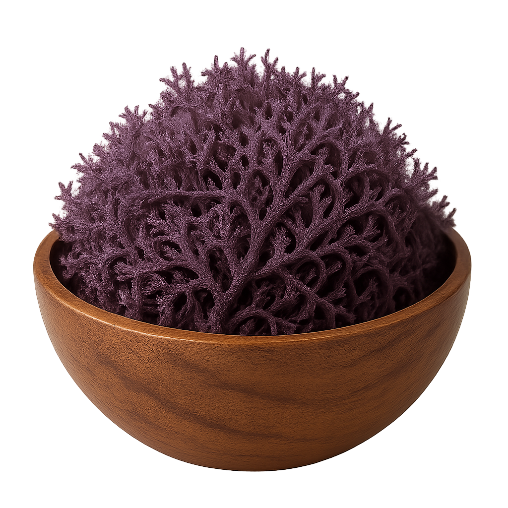 St. Lucian Purple Sea Moss Wholesale | Dried Bulk Seamoss